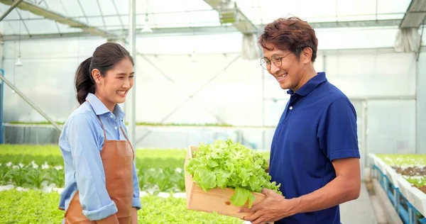 Asyalı Kadın Çiftçi Seradaki Erkek Müşterilere Organik Marul Veriyor Küçük — Stok fotoğraf