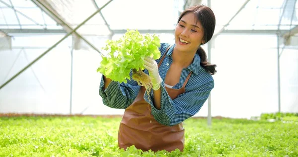Legumes Frescos Conceito Comida Saudável Vegan Mulher Asiática Proprietário Fazenda — Fotografia de Stock