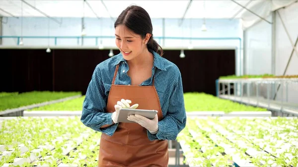 Genç Asyalı Kadın Çiftçi Organik Sebze Çiftliğinin Sahibi Serada Organik — Stok fotoğraf