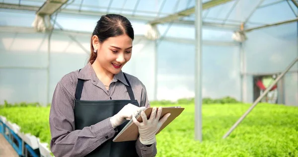 Joven Agricultora Asiática Propietaria Una Granja Hortalizas Ecológicas Con Tableta —  Fotos de Stock