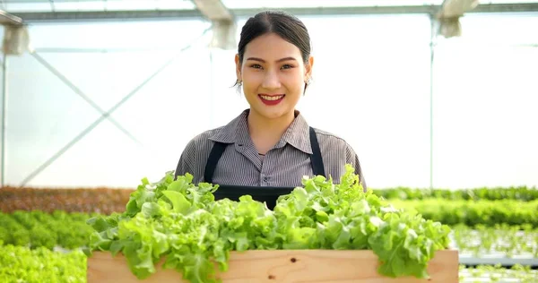 Cerca Retrato Joven Mujer Asiática Agricultor Sosteniendo Lechuga Orgánica Las — Foto de Stock