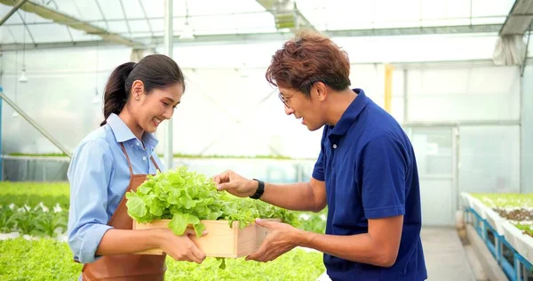 Asyalı Kadın Çiftçi Seradaki Erkek Müşterilere Organik Marul Veriyor Küçük — Stok fotoğraf