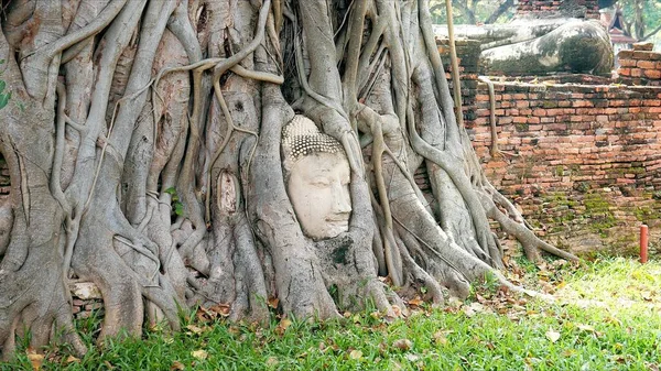 Ayutthaya Buddha Head Tree Roots Buddhist Temple Wat Mahathat Thailand — Stock Photo, Image