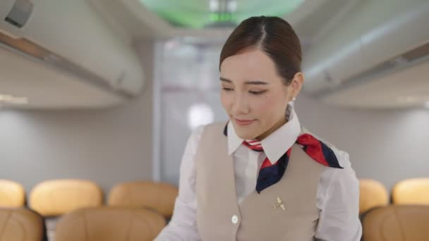 Hôtesse Air Asiatique Uniforme Agent Bord Marchant Sur Allée Pour — Video