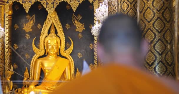 Монахи Повторяют Буддийский Ритуал Молитва Медитация Храме Таиланд — стоковое видео