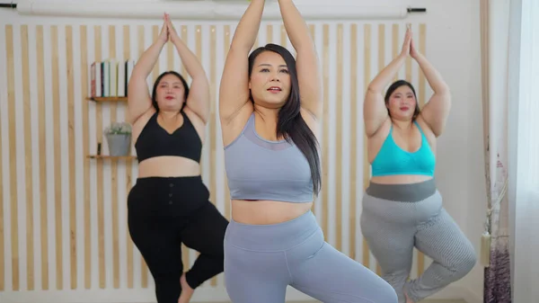Happy chubby woman friends doing aerobics exercises at home. Group of plus size woman friends in sportswear enjoy aerobics dance together. Healthy lifestyle concept