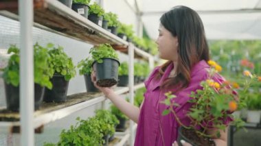 Asyalı bayan müşteri bahçe dükkanından yeşil bitkiler alır, genç bir bayan çiçek pazarından, ev ve bahçe konseptinden süslü bitkiler seçer..