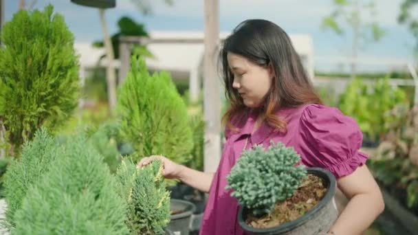 Азіатська Жінка Замовник Купує Зелені Рослини Садовому Магазині Молода Леді — стокове відео