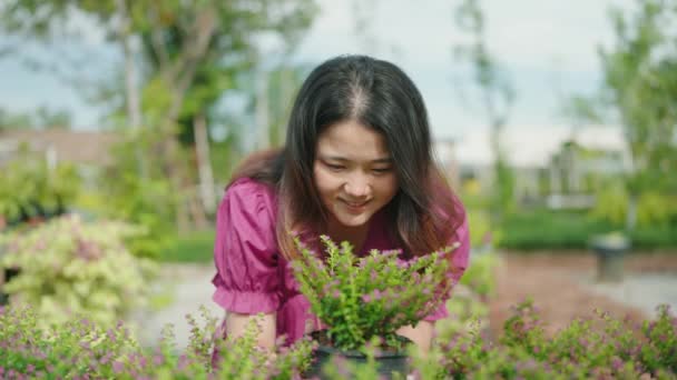 一位年轻的女士在花市 家和花园的概念中选择观赏植物 — 图库视频影像