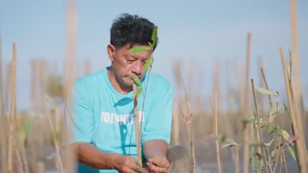 Aziatische Vrijwilligers Van Middelbare Leeftijd Planten Bomen Mangrovebossen Voor Milieubescherming — Stockvideo