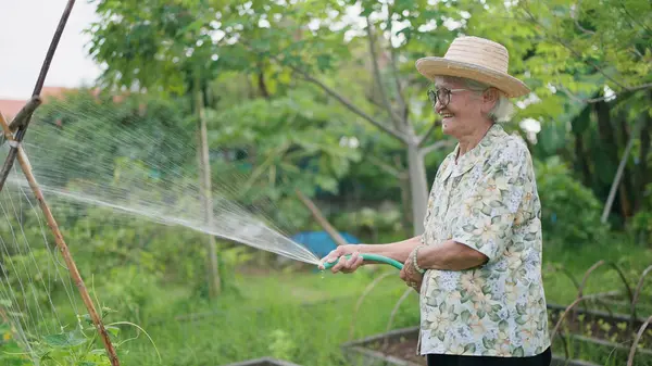 Happy Asian elderly woman watering plants in the backyard. Asian elderly woman holding garden hose watering plants green garden at home. Lifestyle of retirement concept