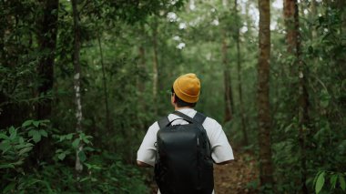 Ormanda yalnız seyahat eden bir sırt çantalı. Sırt çantalarıyla yeşil ormanda yürüyüş yapan genç bir adam. Asyalı gezgin yeşil ormanda yürürken keşfe çıkıyor. Seyahat ve sırt çantası kavramı