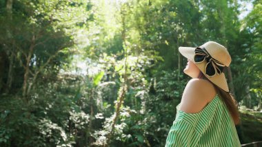 Mutlu genç Asyalı kadın gezgin yeşil ormanda güzellik doğasının tadını çıkarıyor. Dişi turist yeşil ormanda temiz hava alıp rahatlıyor. Doğa ve seyahat. Güzel doğa konsepti
