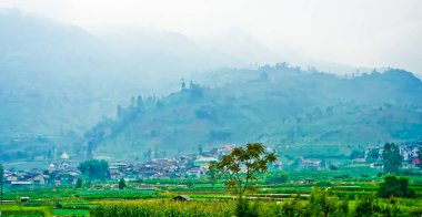 Dieng Platosu, Orta Cava, Endonezya 'da gizlenmiş tropikal yağmur ormanlarının güzel manzarası