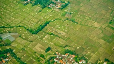 Gökyüzünden görünen pirinç tarlası manzarası, Jakarta Körfezi, Endonezya