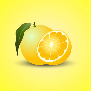 Yeşil yapraklı gerçekçi limon, ekşi taze meyve, parlak sarı kabuk, limon vektör çizimi izole edilmiş.