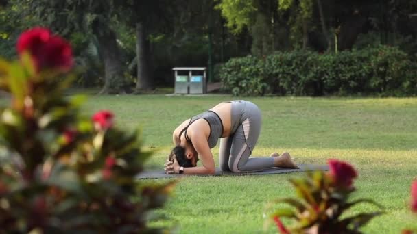 Video Fit Woman Performing Headstand Pose Exercise Park — Wideo stockowe
