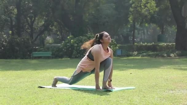 Video Indian Woman Doing Surya Namaskar Park — Vídeo de Stock