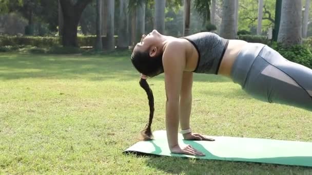 Видео Индийской Женщины Делающей Упражнение Заднюю Доску Вверх Доске — стоковое видео