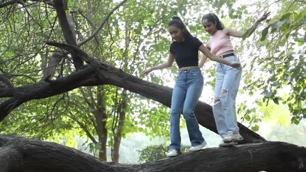 Видеоклип Подружками Подростками Гуляющими Стволу Дерева Парке — стоковое видео