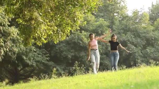 两个漂亮的少女朋友在公园里玩乐和穿越绿地的视频 — 图库视频影像