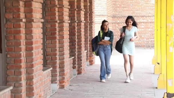 Video Clip Two Young College Girls Walking College Corridor — Wideo stockowe