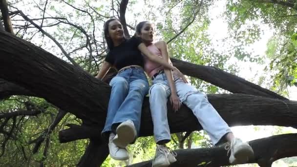 Video Indian Teenage Friends Sitting Tree Trunk Park — Stok Video