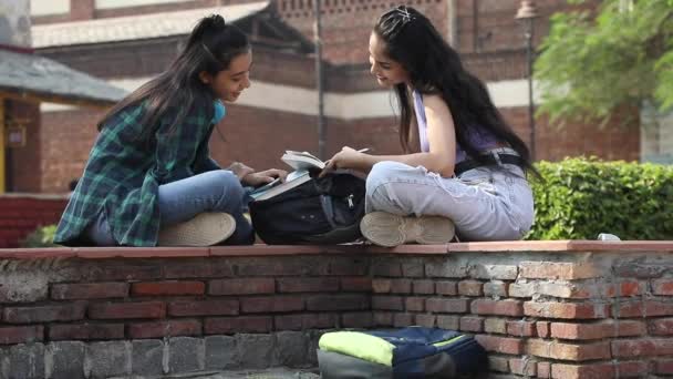 Video Female College Friends Reading Book While Sitting Cement Slab — Stok Video