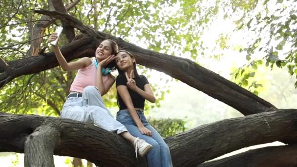Видео Двух Молодых Индийских Подруг Сидящих Ветке Дерева Делающих Селфи — стоковое видео