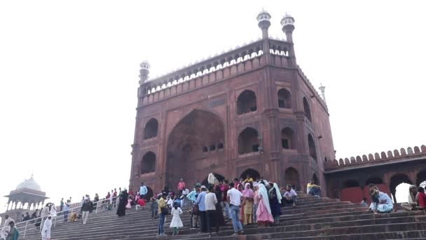 Stock Video Tourist Sitting Steps Jama Masjid Delhi — 비디오
