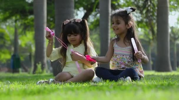 Cute Happy Children Playing Seesaw Park — Stock Video