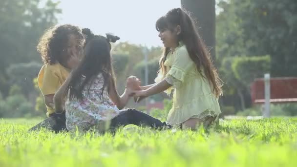 Χαριτωμένα Χαρούμενα Παιδιά Παίζουν Μια Τραμπάλα Ένα Πάρκο — Αρχείο Βίντεο