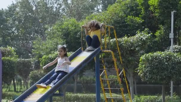 Χαριτωμένα Χαρούμενα Παιδιά Παίζουν Μια Τραμπάλα Ένα Πάρκο — Αρχείο Βίντεο