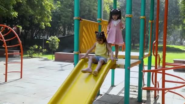 Parkta Tahterevallinin Üzerinde Oynayan Mutlu Çocuk — Stok video