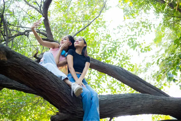 University female friends are sitting on a tree branch, taking a selfie on her phone