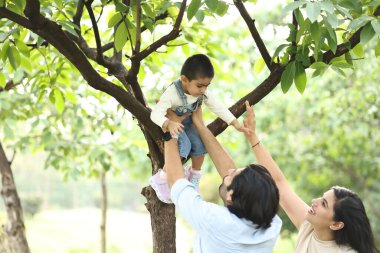 Güneşli bir parkta ebeveynlerden yardım alırken bir çocuk ağaca tırmanıyor..