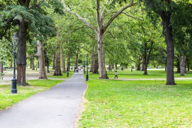 Uzun yeşil ağaçlar ve taze çimlerle çevrili asfaltlı bir yol ile huzurlu bir park manzarası.