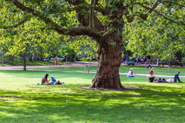 Huzurlu Londra parkı yemyeşil, büyük bir ağaç ve insanlar dışarıda dinleniyor.