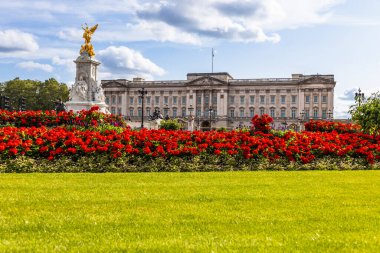 Buckingham Sarayı ve Victoria Anıtı. Londra 'da canlı kırmızı bir çiçek bahçesi var.