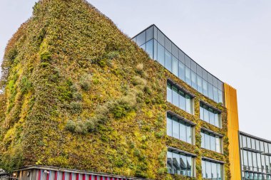 Camden High Caddesi 'nde dikey bahçe cephesi olan çevre dostu bir bina. Londra, İngiltere, 26 Aralık 2023