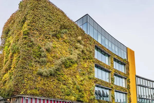 Camden High Caddesi 'nde dikey bahçe cephesi olan çevre dostu bir bina. Londra, İngiltere, 26 Aralık 2023