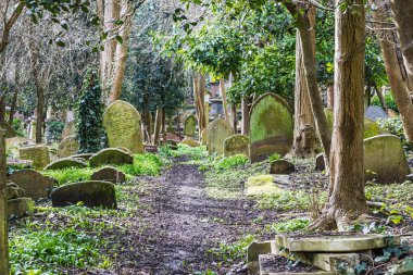 Highgate Mezarlığı 'nda tarihi mezar taşları ve uzun ağaçlarla çevrili sakin bir patika. Londra, İngiltere, 3 Mart 2024