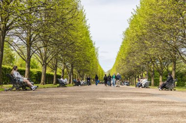 İnsanlar bahar boyunca ağaçların oluşturduğu park yolu boyunca uzanan banklarda dinlenerek huzurlu atmosferin tadını çıkarıyorlar. Londra, İngiltere, 14 Nisan 2024