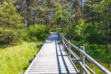 Korkuluklu tahta kaldırım güneşli çam ormanları ve çayırların arasından geçiyor..