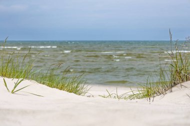 Baltık kıyı şeridi köpüklü dalgalar, beyaz kuvars kumu ve sallanan kum tepecikleriyle