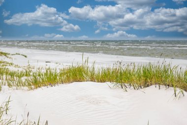 Beyaz kumlu, kumlu, kumlu ve mavi gökyüzlü huzurlu Baltık Denizi plajı. Mükemmel bir yaz sahnesi..