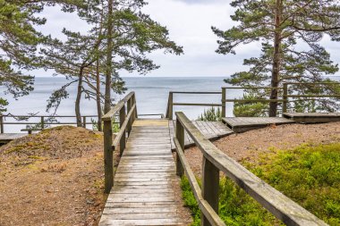 Yıpranmış sahil yürüyüşü kıyı çam ağaçlarını aşarak Baltık Denizi uçurumuna ulaşır, özgürlük ve çevre dostu sahil turizmini anımsatır..