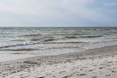 Baltık dalgaları solgun bir gökyüzünün altındaki boş kuma çarpıyor..