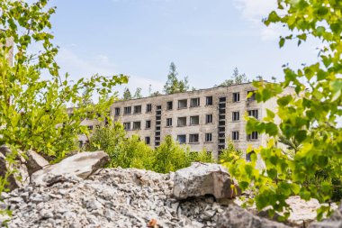 Lağım ve taze yeşillik. Irbene, Letonya 'da kullanılmayan bir Sovyet apartmanı.