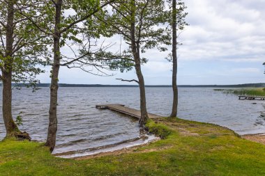 Dar ahşap iskele, ağaçlarla çevrili Letonya gölüne dönüşür..